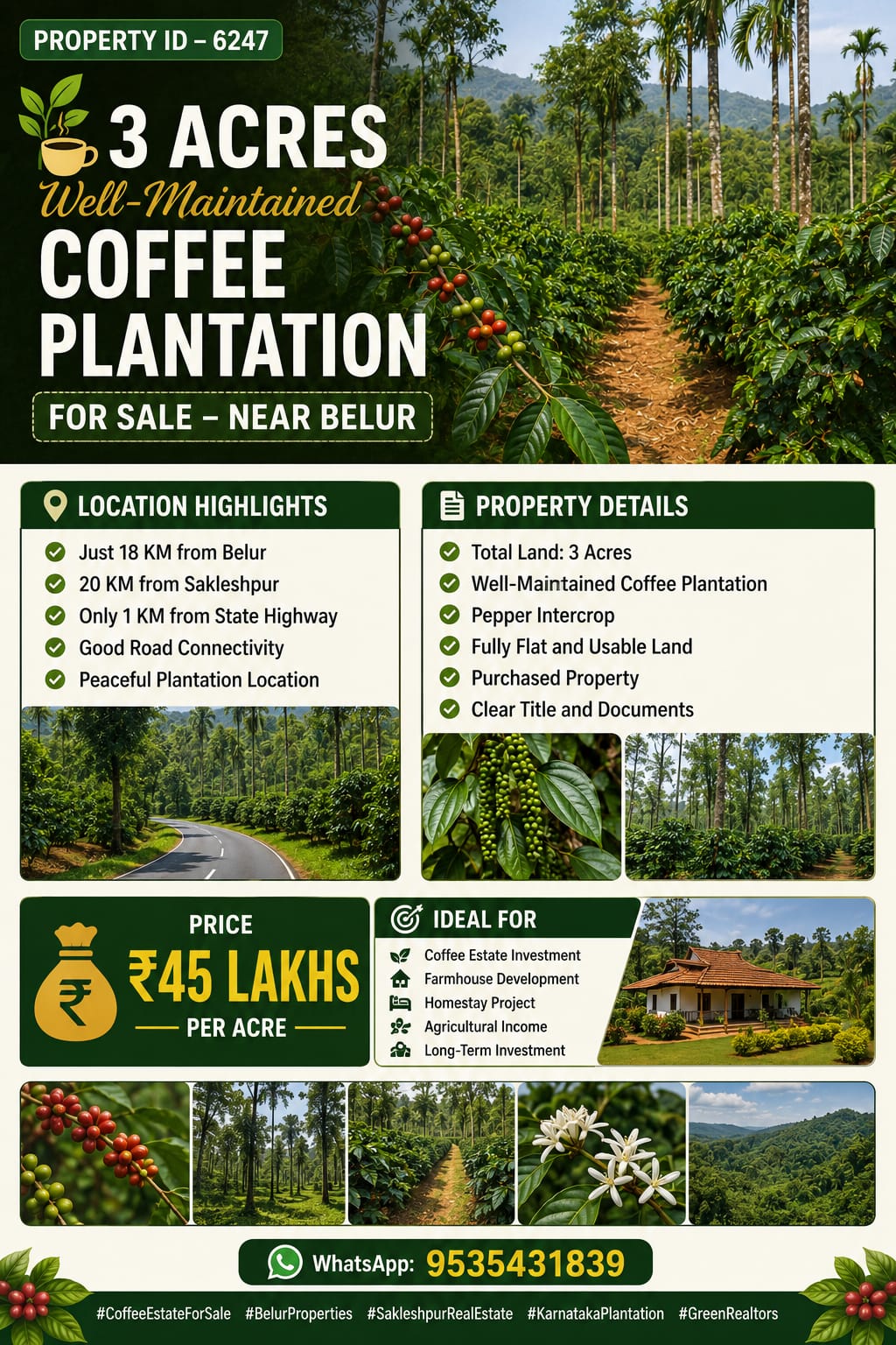 🆔 *PROPERTY ID – 6247* 🌿☕ *3 Acres Well-Maintained Coffee Plantation for Sale – Near Belur*